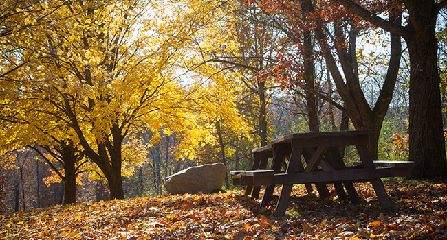 picnic bench in fall season